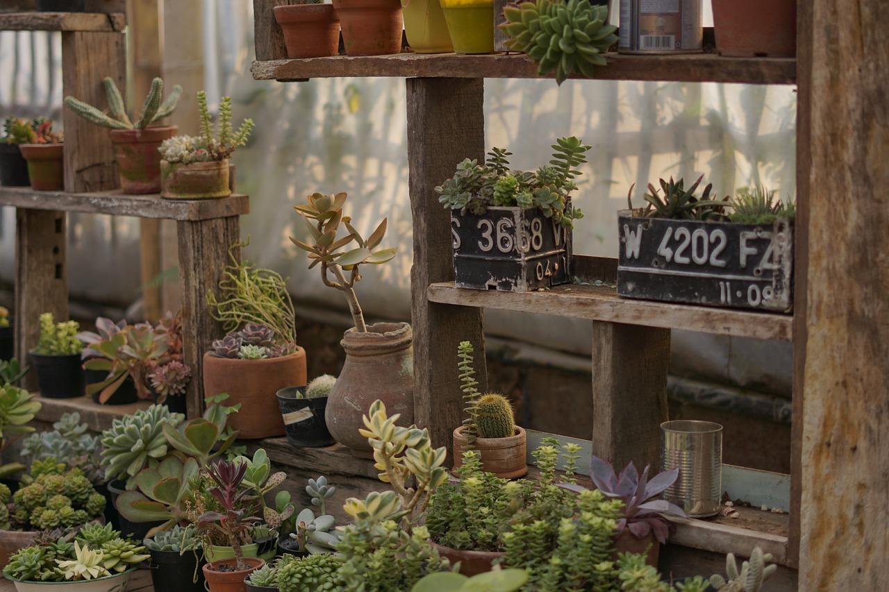 Tuinhout in Rotterdam
